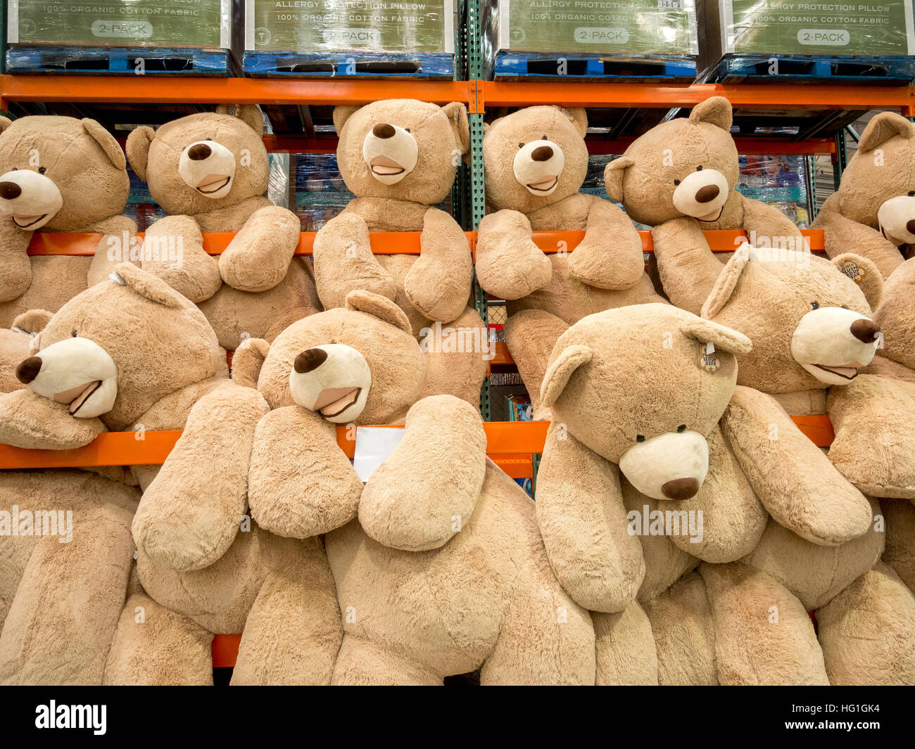Giant teddy bears are for sale at a 
