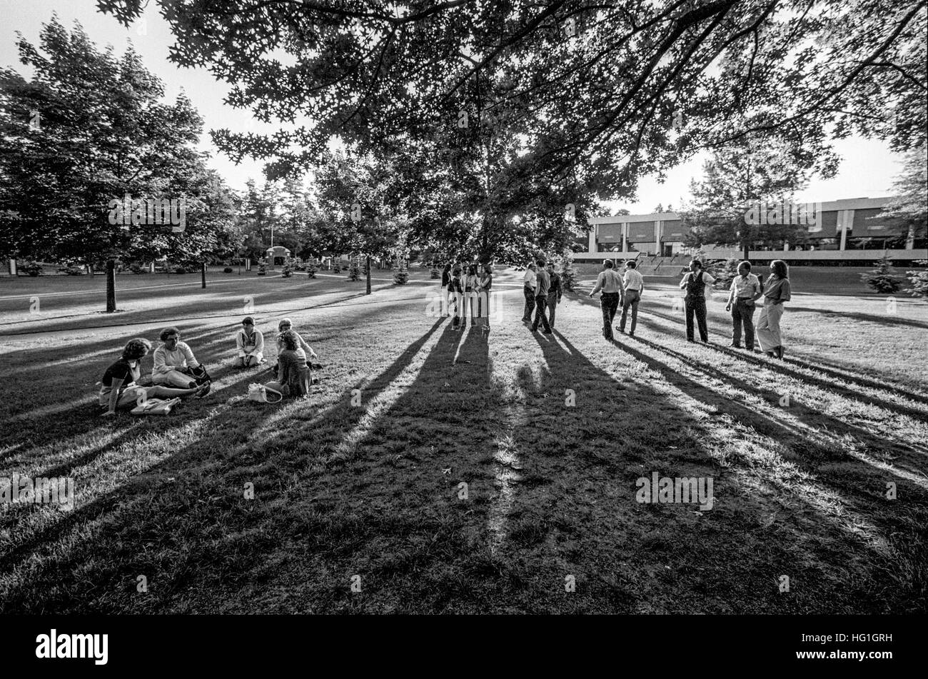 Multiracial students at a Framingham, MA, community college throw long shadows as they gather on campus for an evening class. Stock Photo