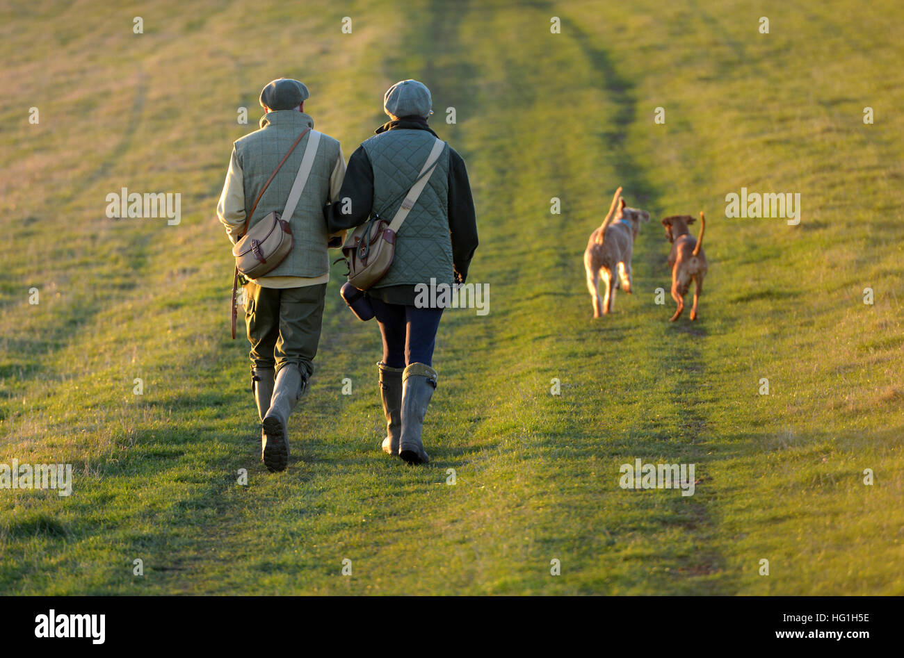 Country couple walking dogs on the South Downs Way Stock Photo
