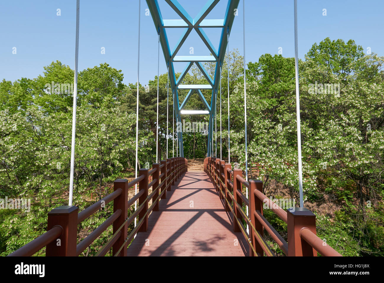 Small Pedestrian Bridge in the form of a cable-stayed bridge in a park Stock Photo