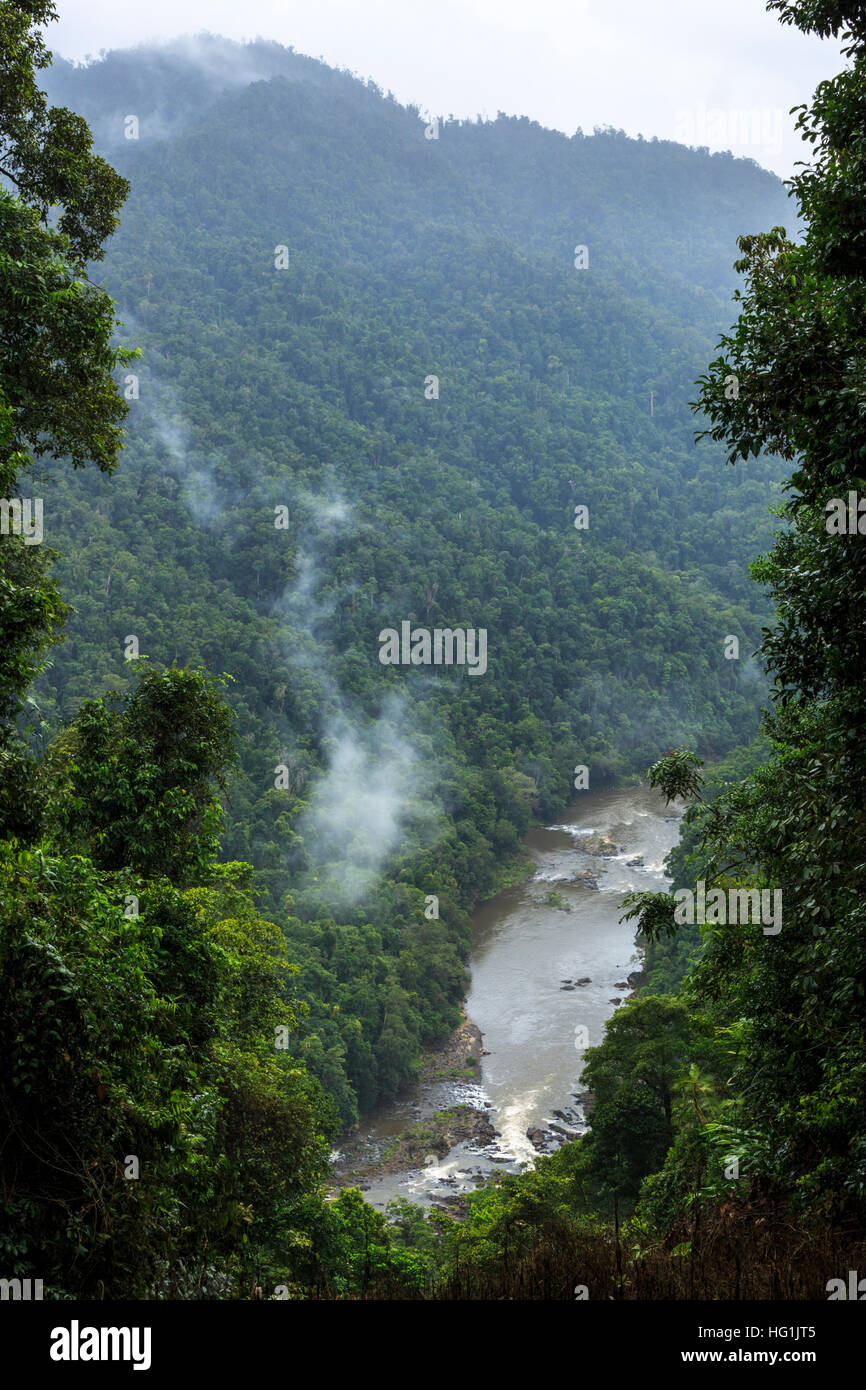 North Johnstone River from Crawford's Lookout in the Atherton Tableland