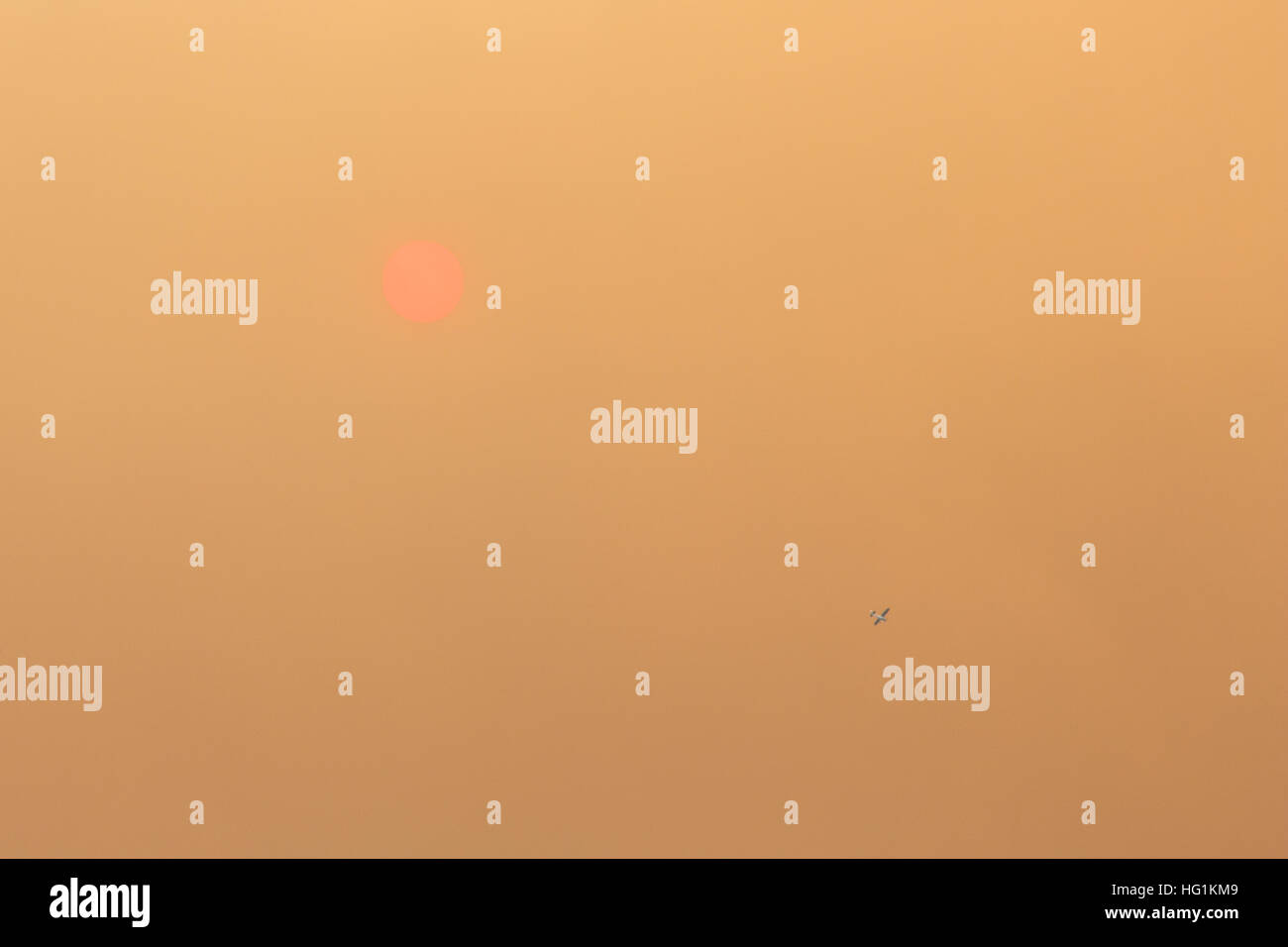 The sun glows red during a forest fire Stock Photo - Alamy