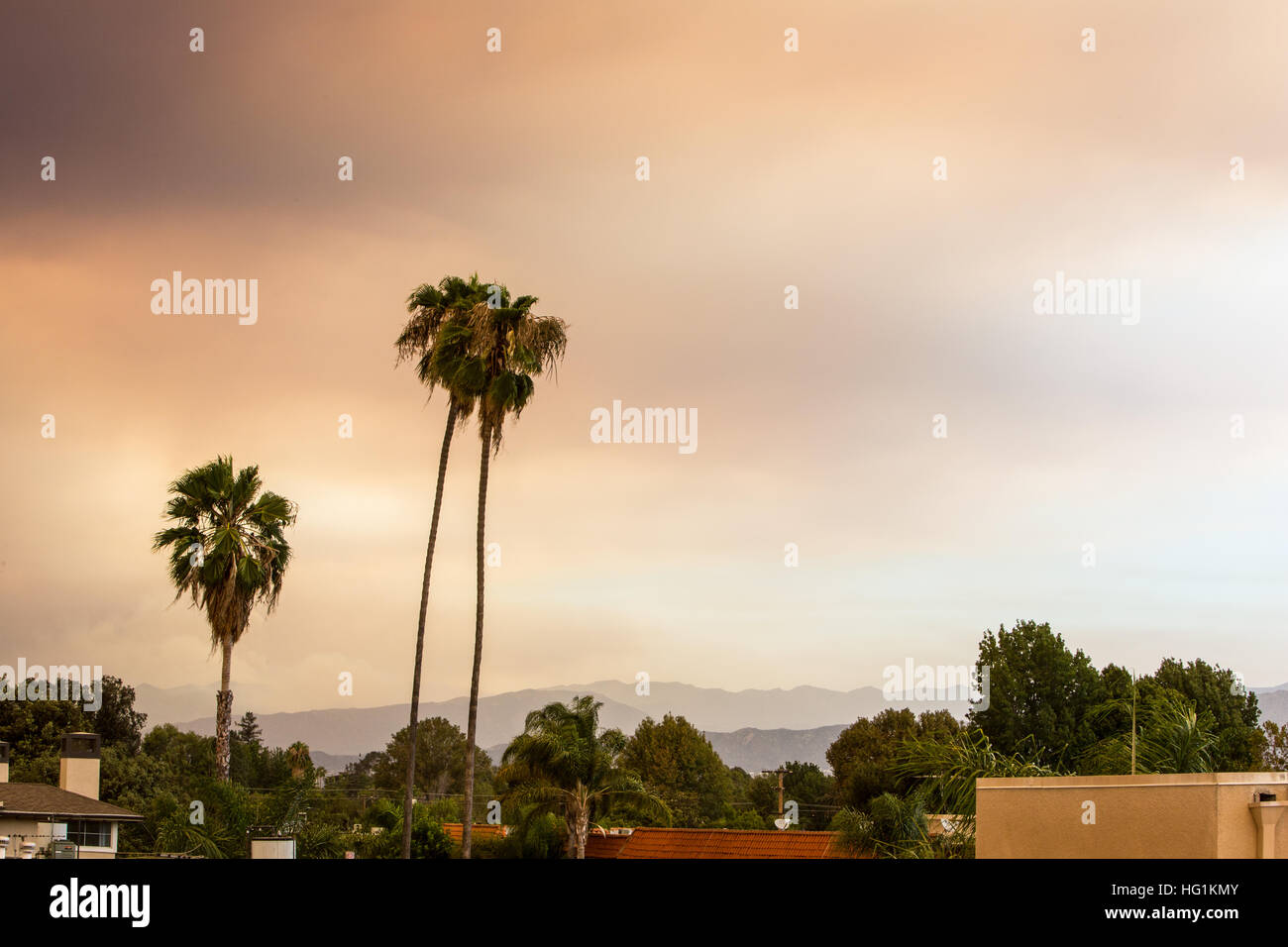 Smokey skies after a forest fire Stock Photo - Alamy