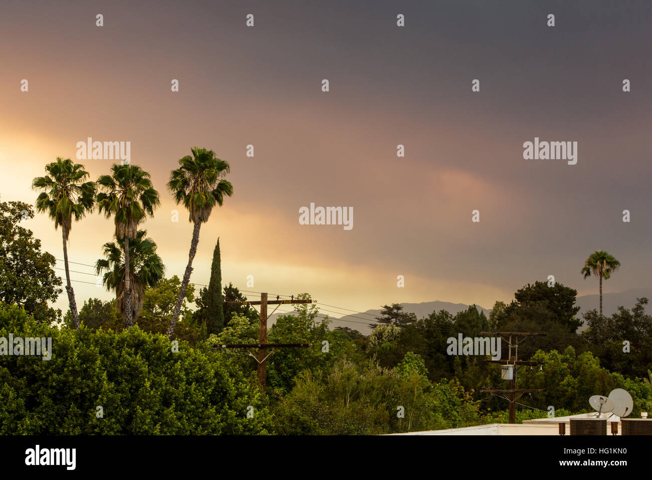 Smokey skies after a forest fire Stock Photo - Alamy
