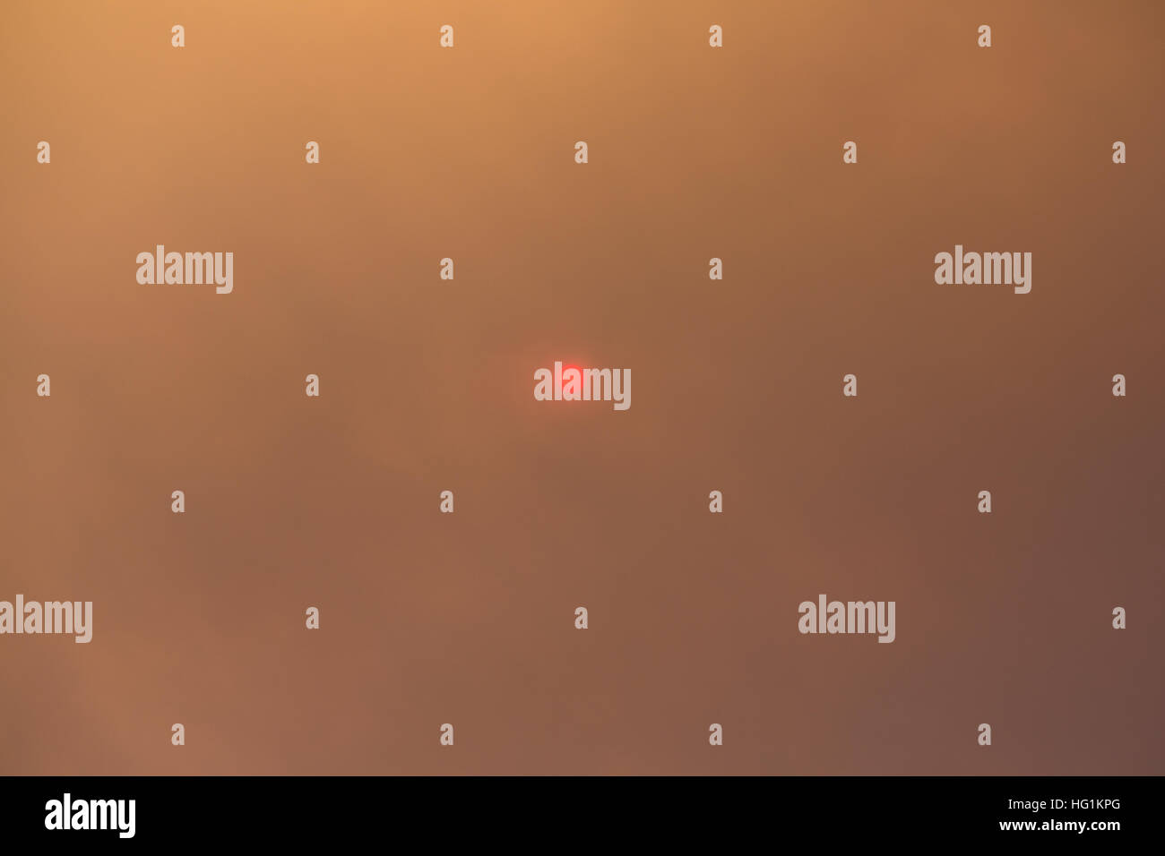 The sun glows red during a forest fire Stock Photo - Alamy