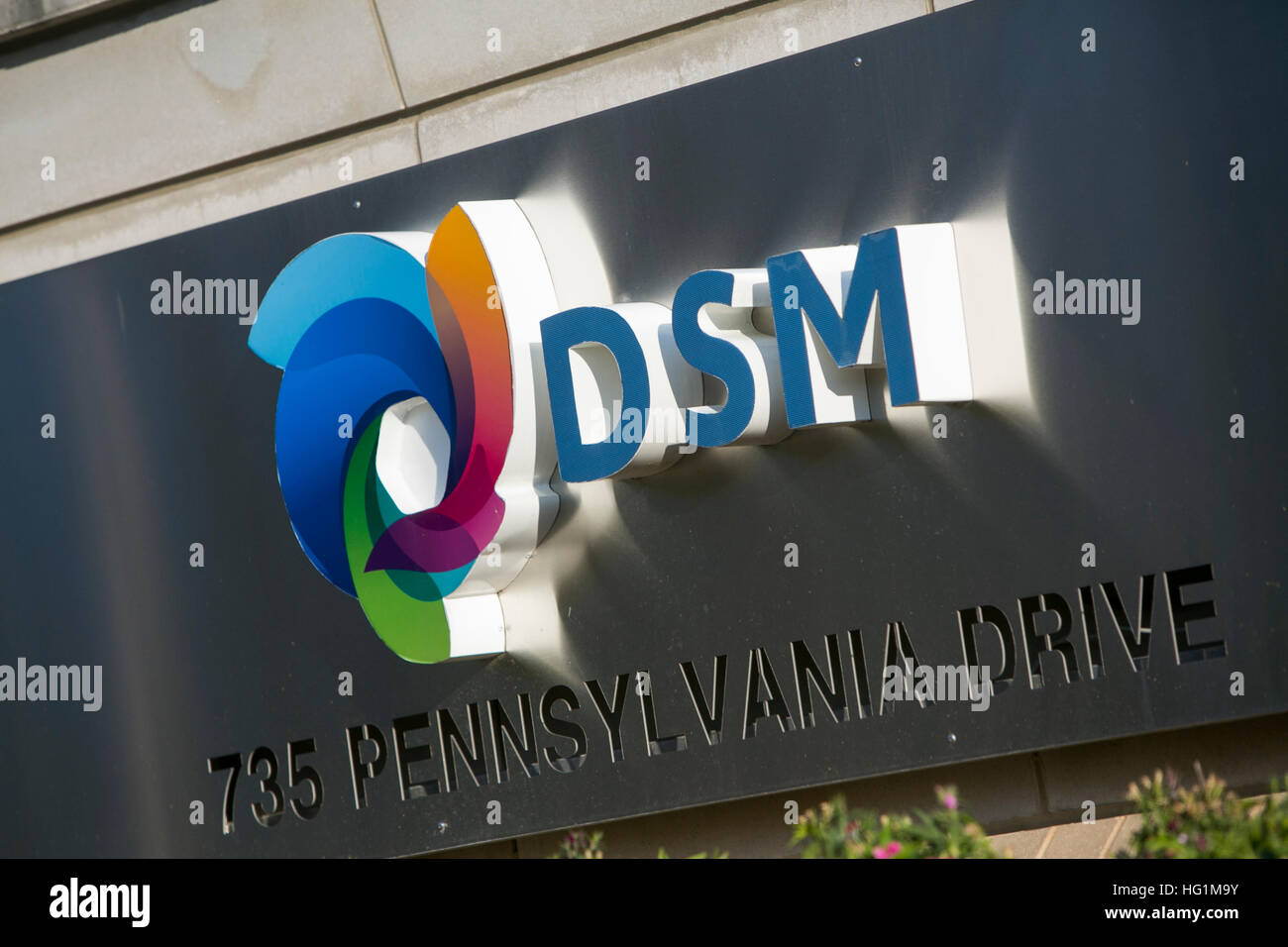 A logo sign outside of a facility occupied by DSM Biomedical in Exton