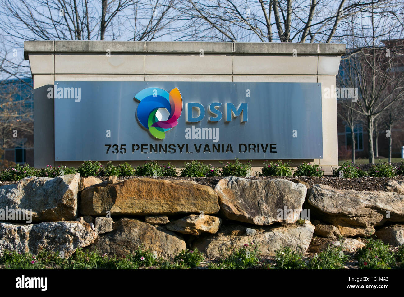 A logo sign outside of a facility occupied by DSM Biomedical in Exton