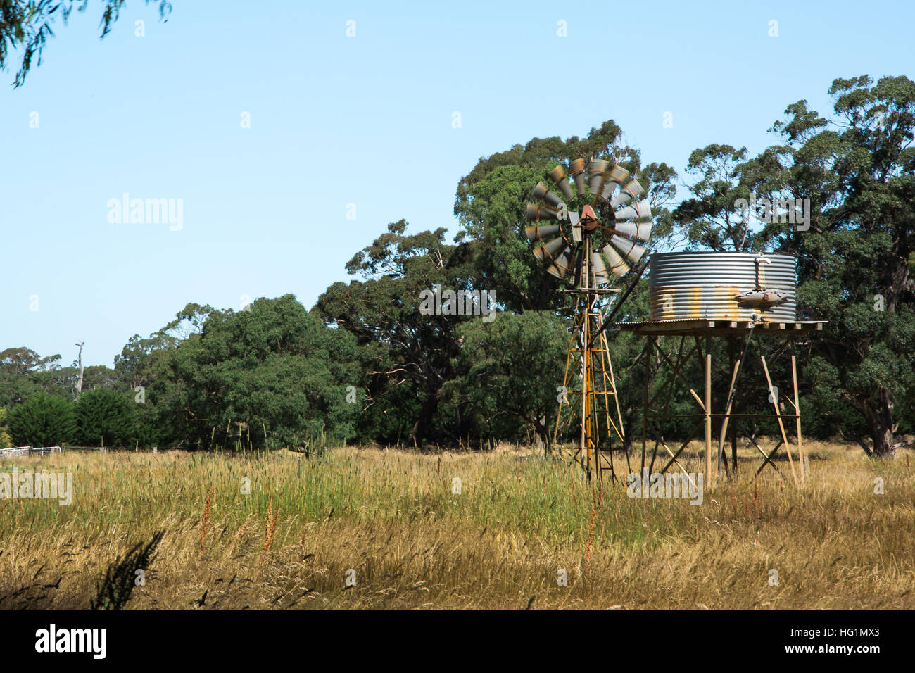 Old windmill pumping water from an underground source Stock Photo Alamy