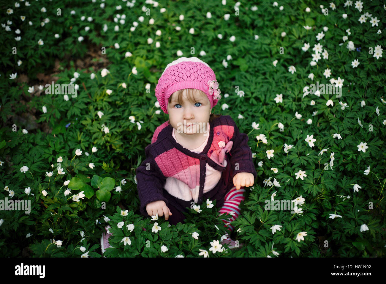 beautiful little girl in forest on flowers field Stock Photo - Alamy
