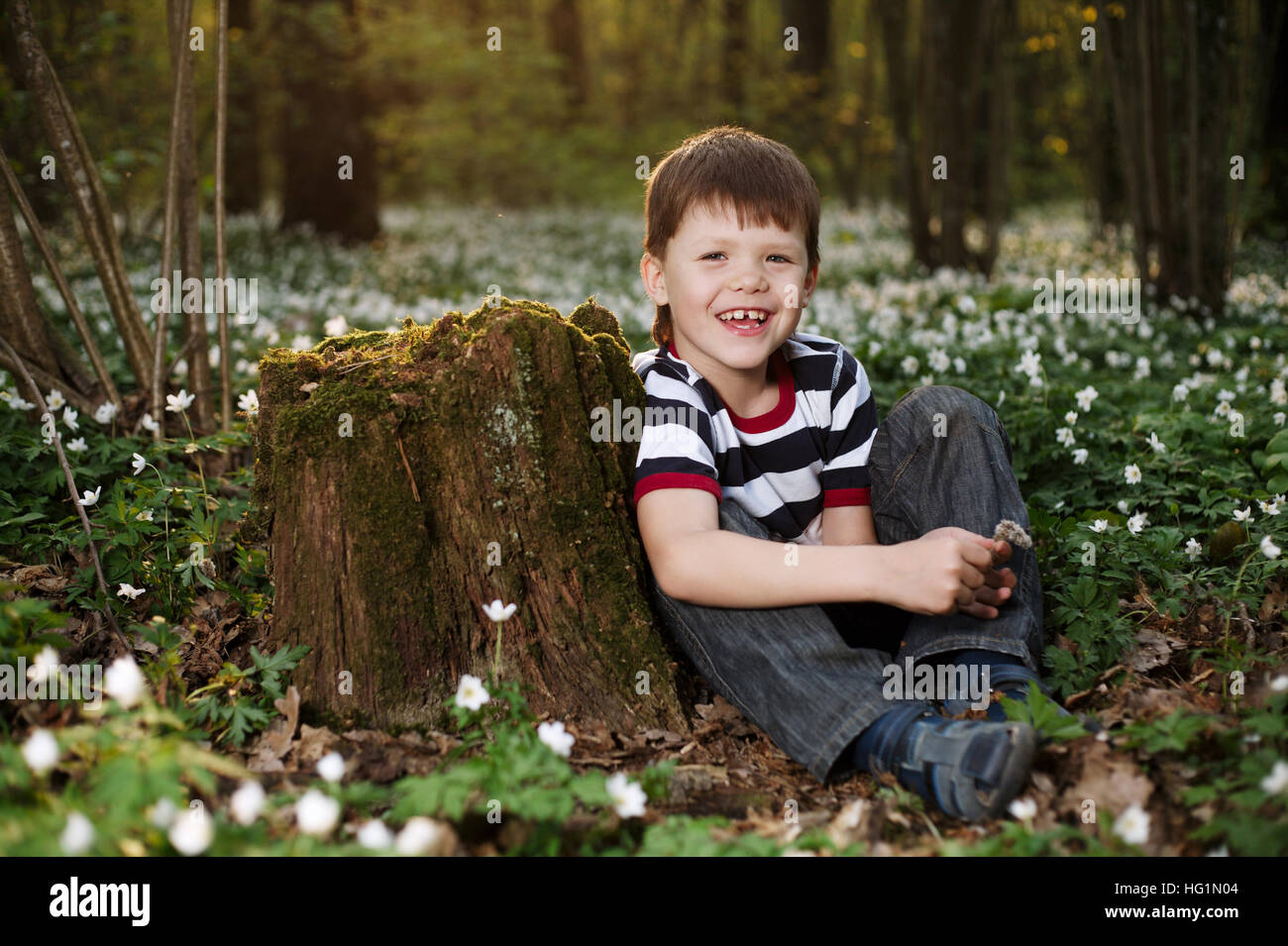 little boy in forest on flowers field Stock Photo - Alamy