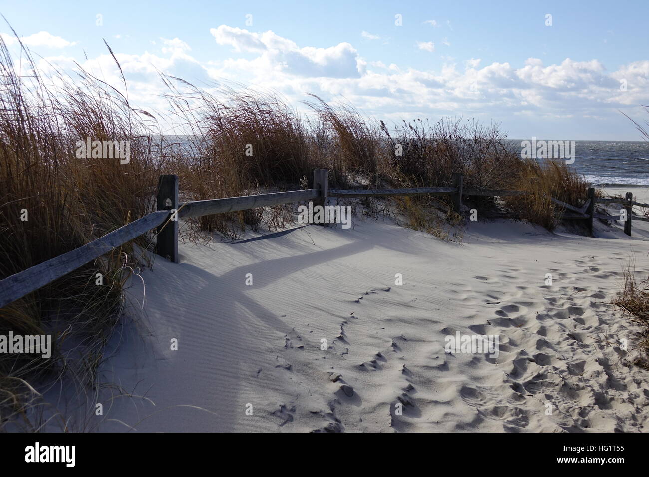 USA New Jersey NJ Cape May beach access point through protected dune grass at the Atlantic Ocean Stock Photo