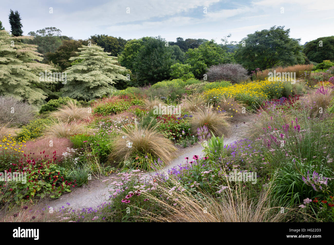 Drift planting hires stock photography and images Alamy