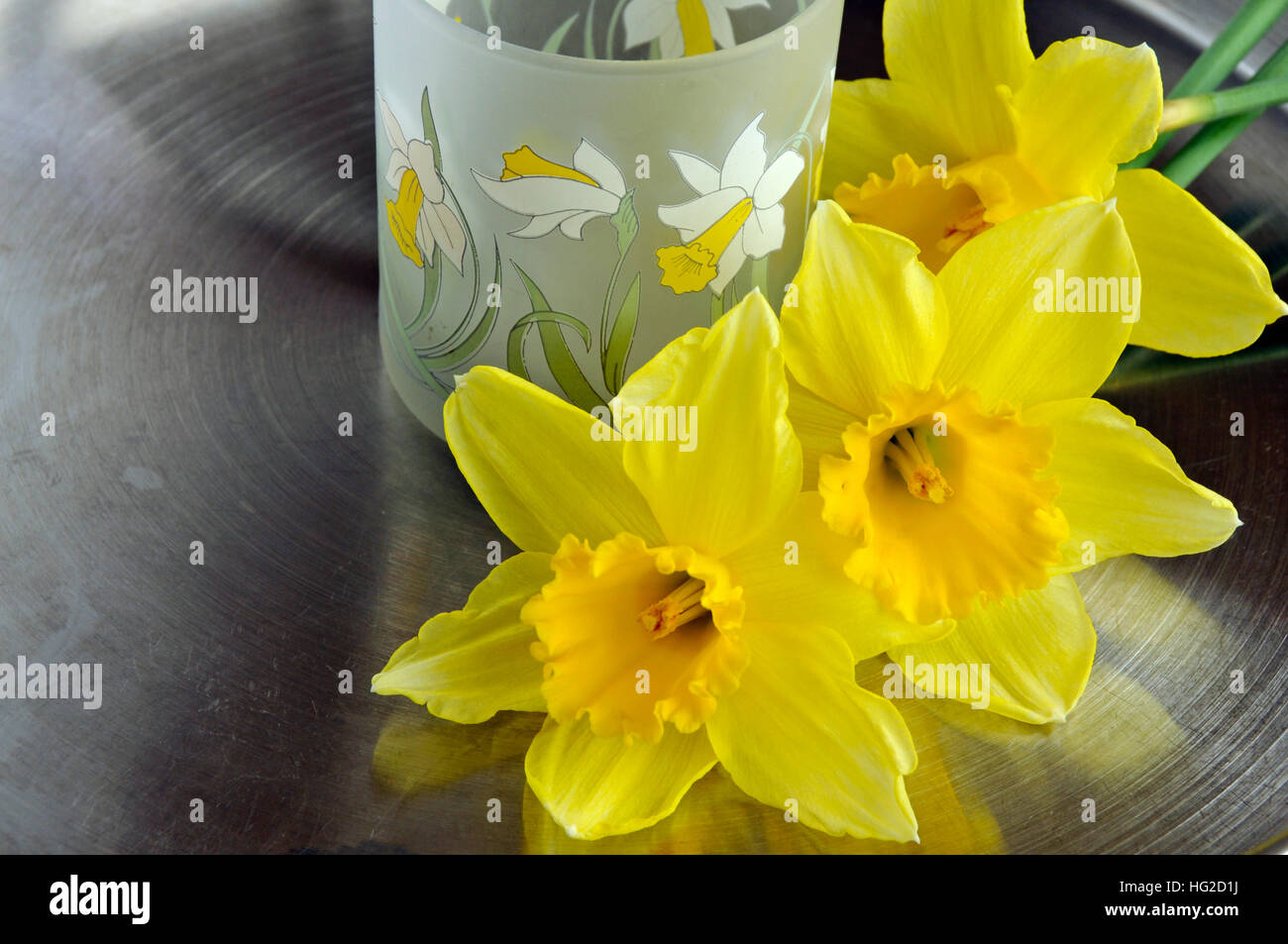 Daffodil flowers with drink glass Stock Photo