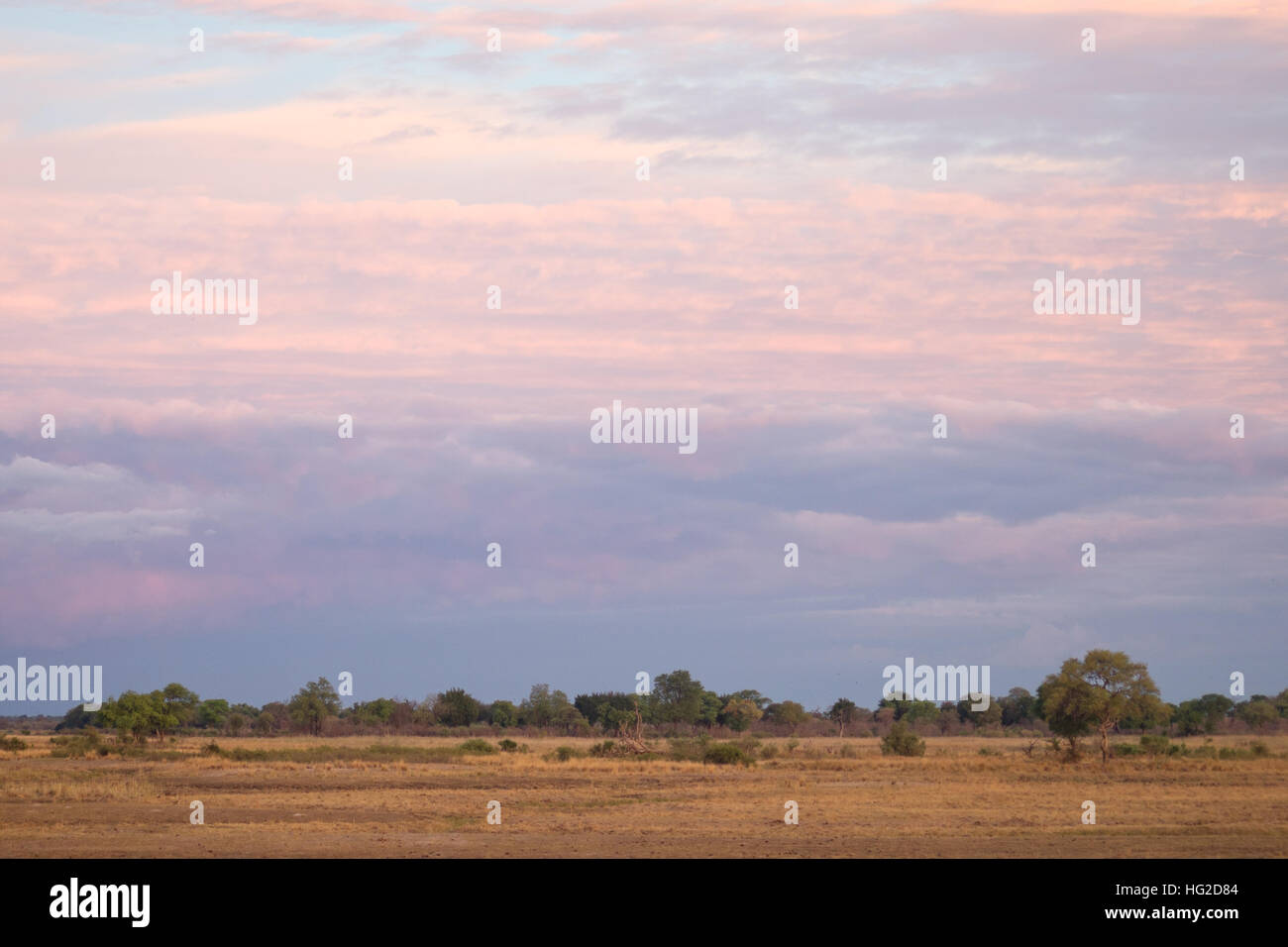 morning in savanna Stock Photo