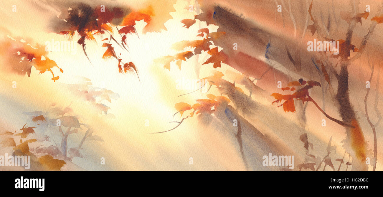 sun rays in the golden forest watercolor Stock Photo - Alamy