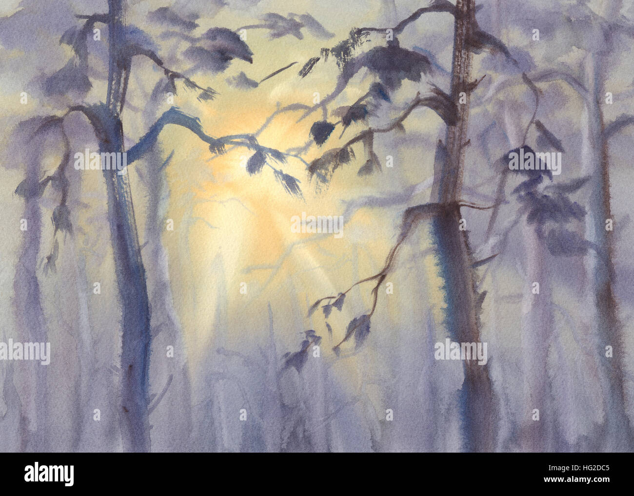Sun rays in forest watercolor hi-res stock photography and images - Alamy