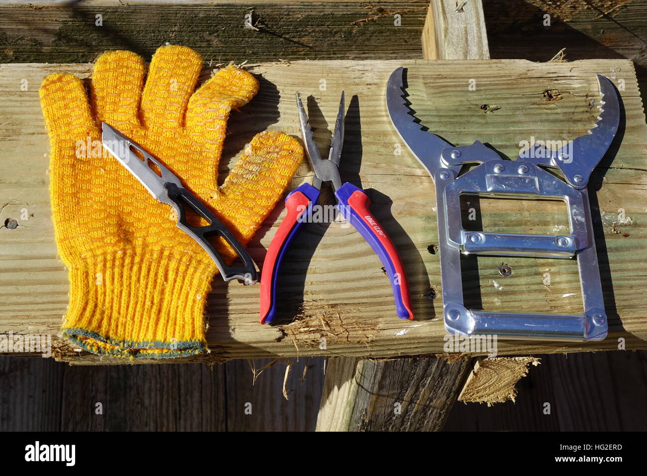 Gants De Pêche 3D Fisherman - Neufs Avec étiquettes, Pour Une Prise En Main Optimale