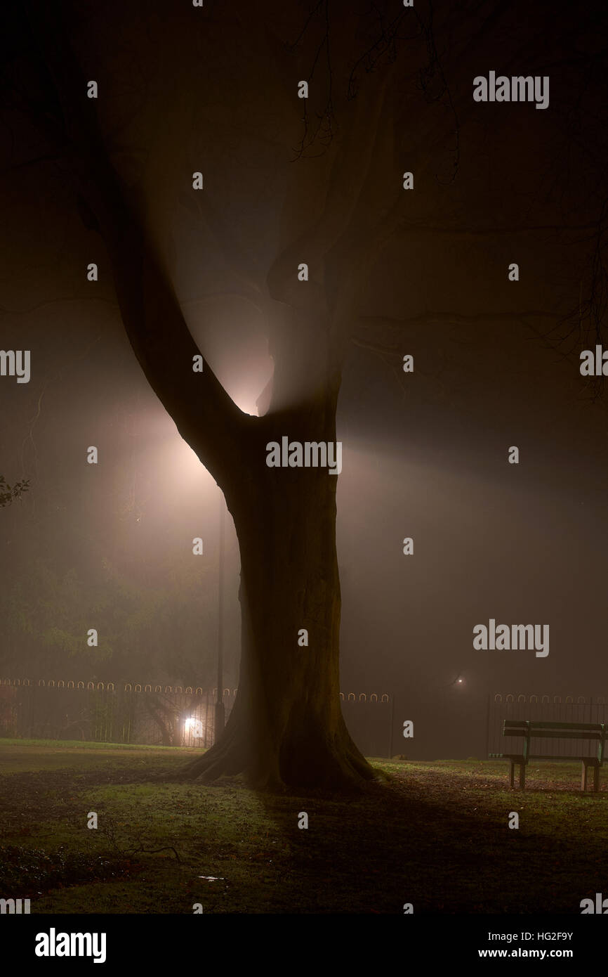 Foggy night walk hi-res stock photography and images - Alamy