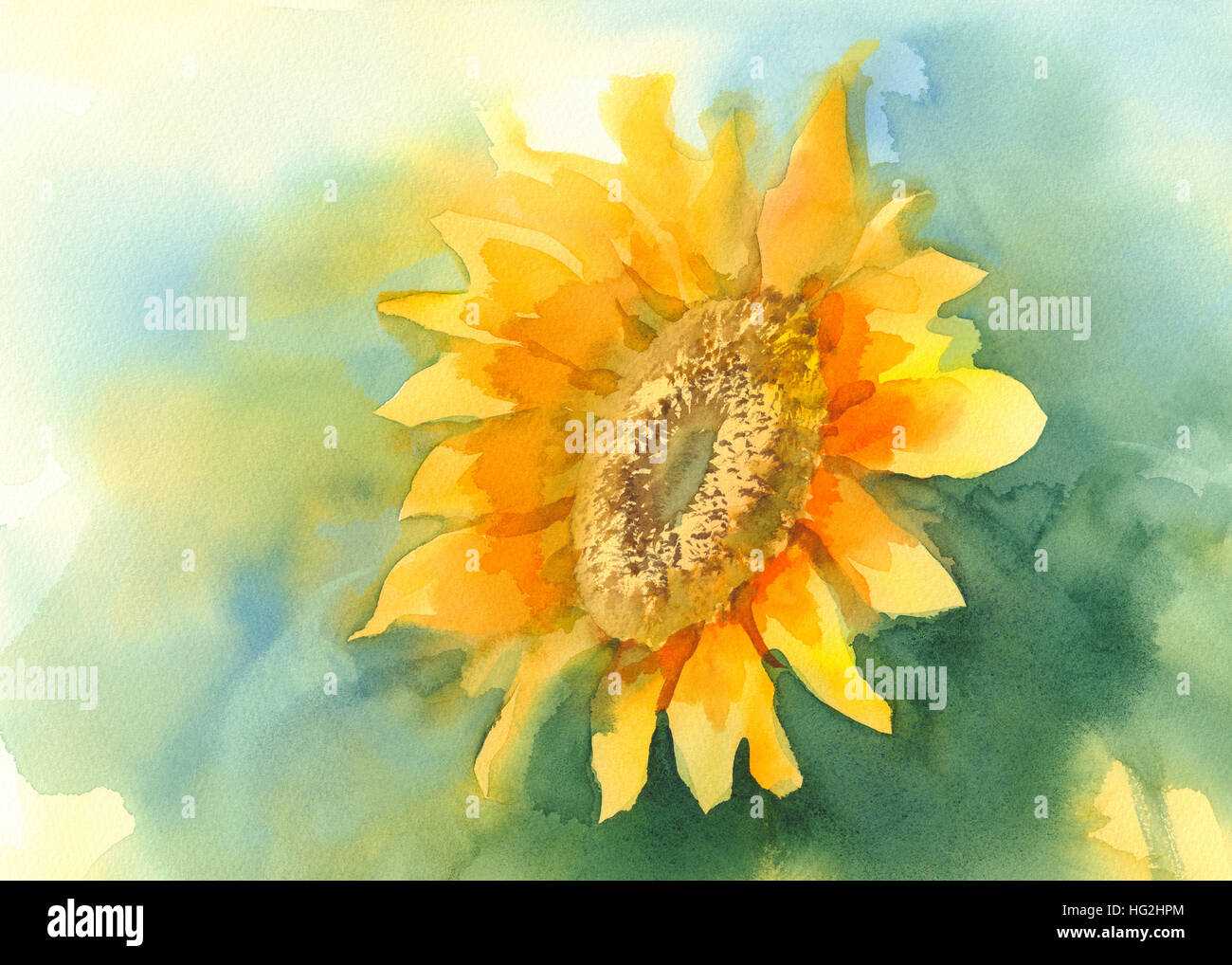 Watercolor Sunflower Wallpaper