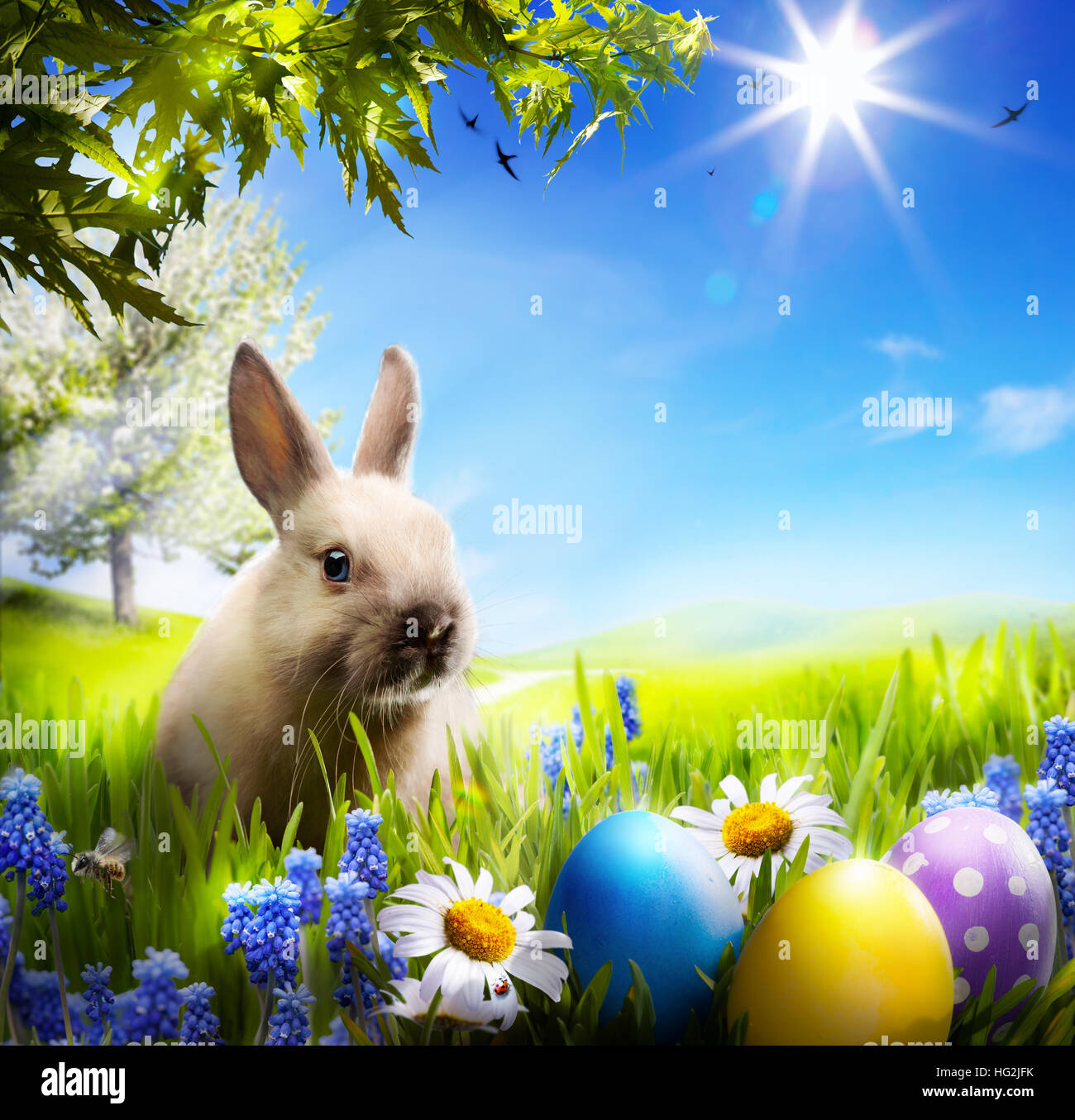 art Little Easter bunny and Easter eggs on green grass Stock Photo - Alamy