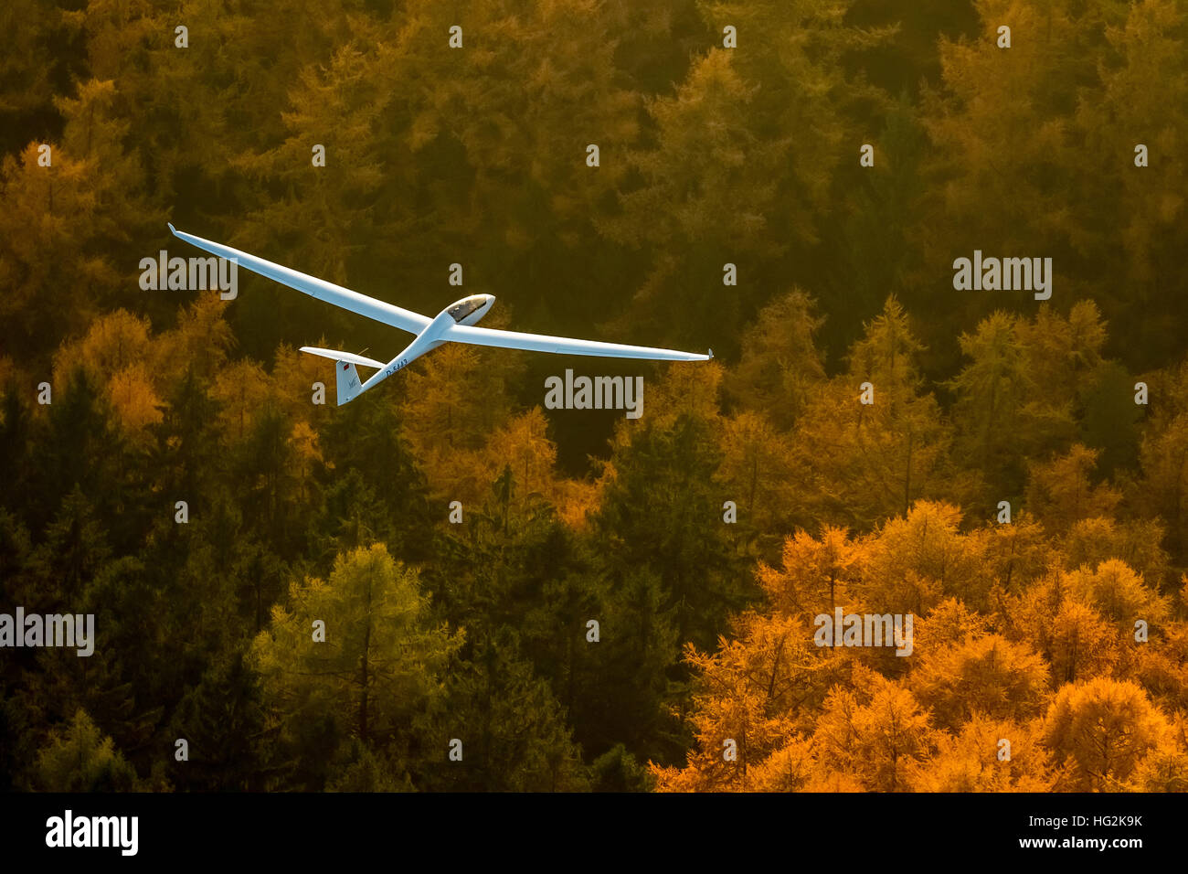 Aerial view, Duo Discus D-5443 from the LSC Oeventrop e.V. over the autumnal forests of Oeventrop, Stock Photo