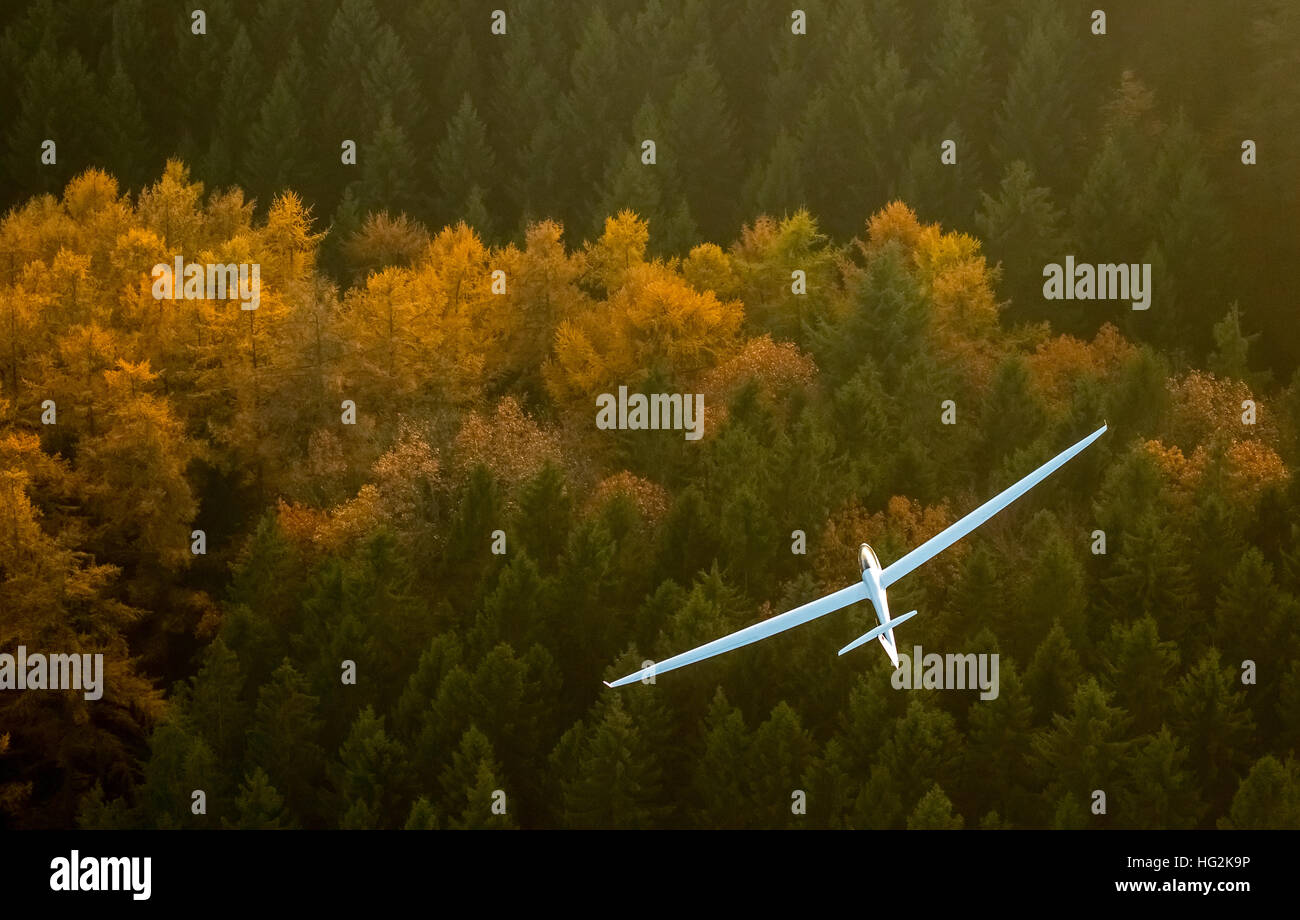 Aerial view, Duo Discus D-5443 from the LSC Oeventrop e.V. over the autumnal forests of Oeventrop, Stock Photo