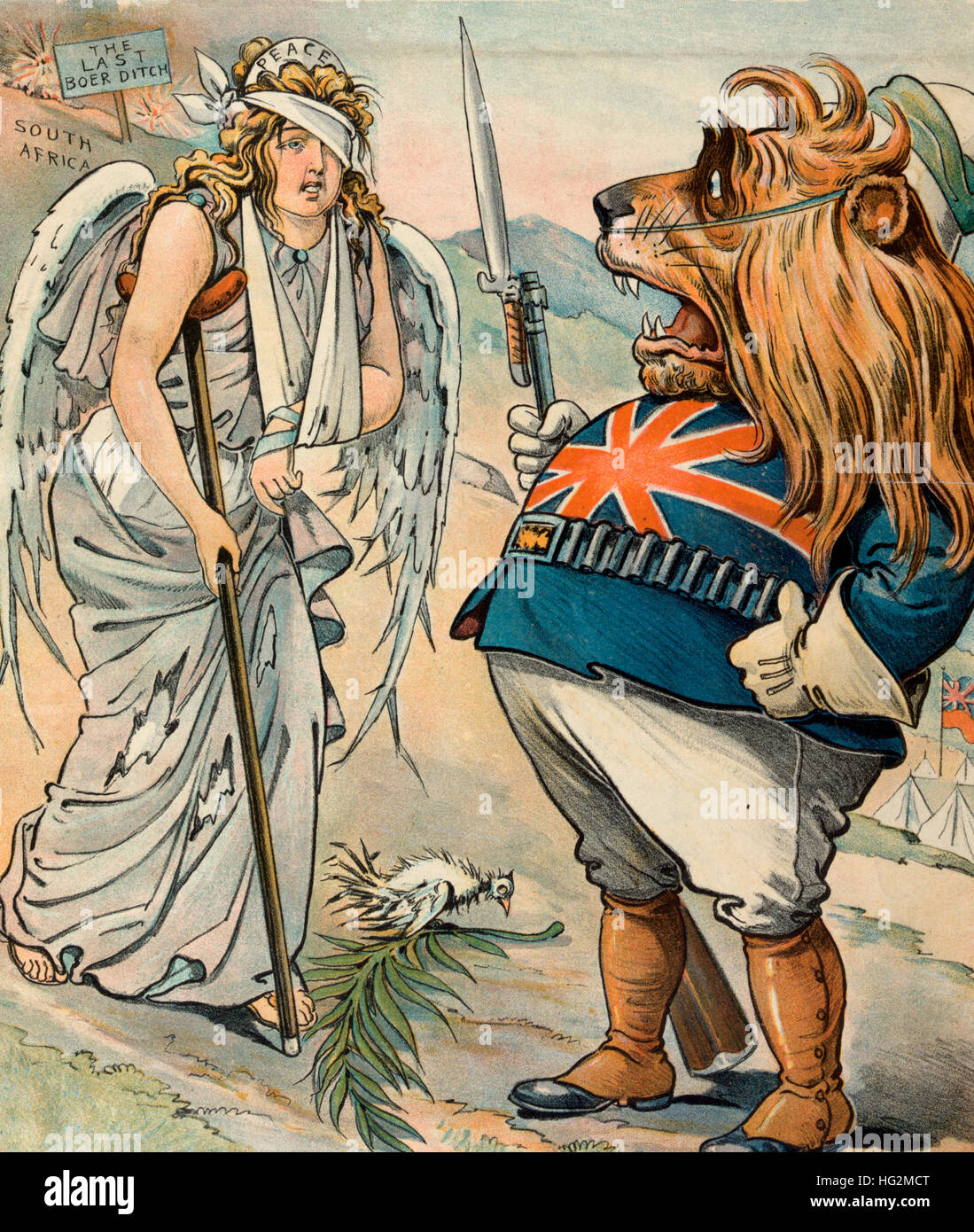 A Misunderstanding - Political Cartoon showing the British Lion, wearing a military uniform, aghast by the tattered look of a female figure labeled 'Peace,' her clothing torn, head and left arm bandaged, and walking with a crutch, the dove at her feet looks plucked. In the background is a sign stating 'The last Boer ditch' stuck in ground labeled 'South Africa.' 1901 Stock Photo