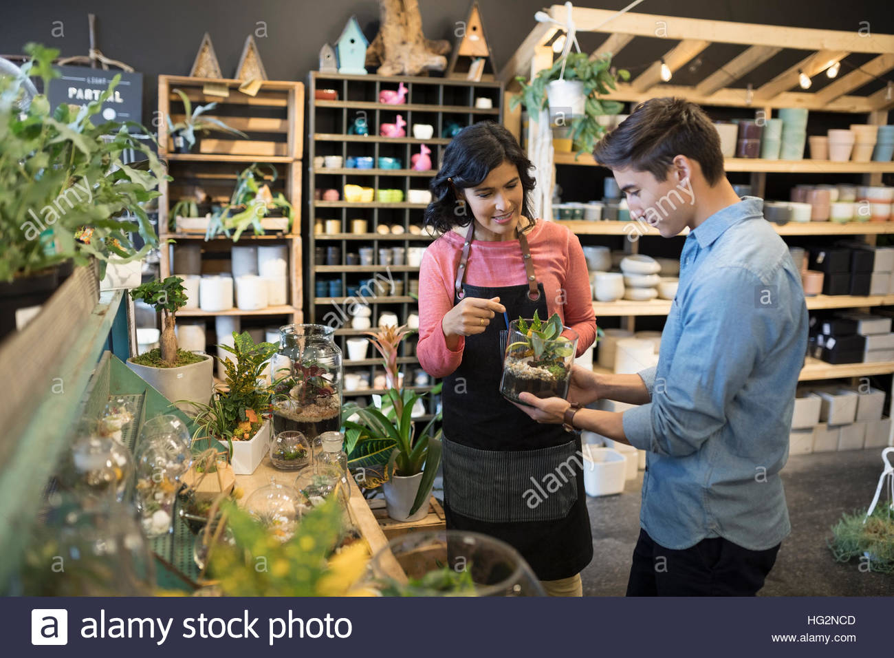 Female shop owner helping male customer shopping for terrarium in plant shop Stock Photo