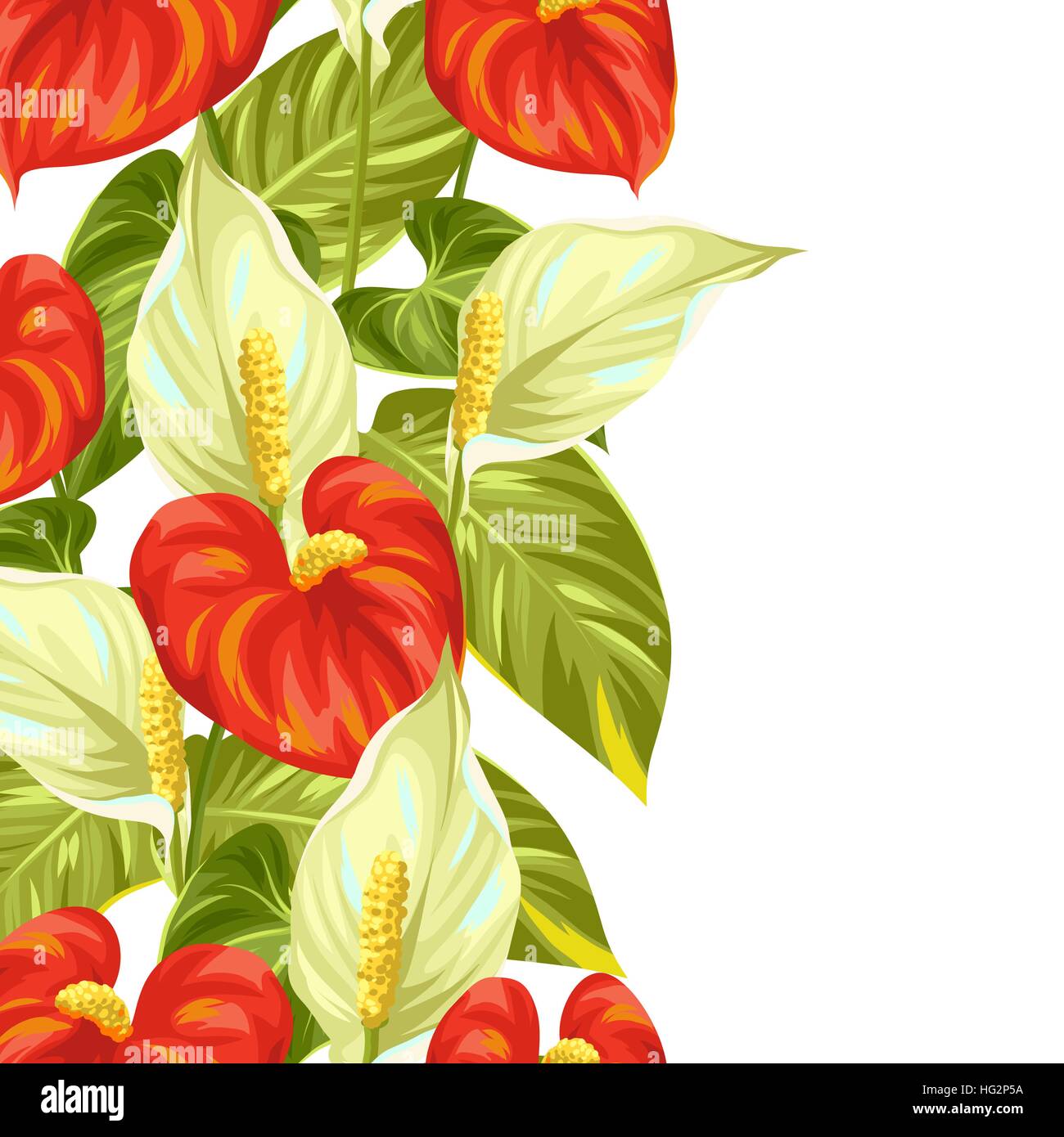 Seamless border with flowers spathiphyllum and anthurium Stock Vector