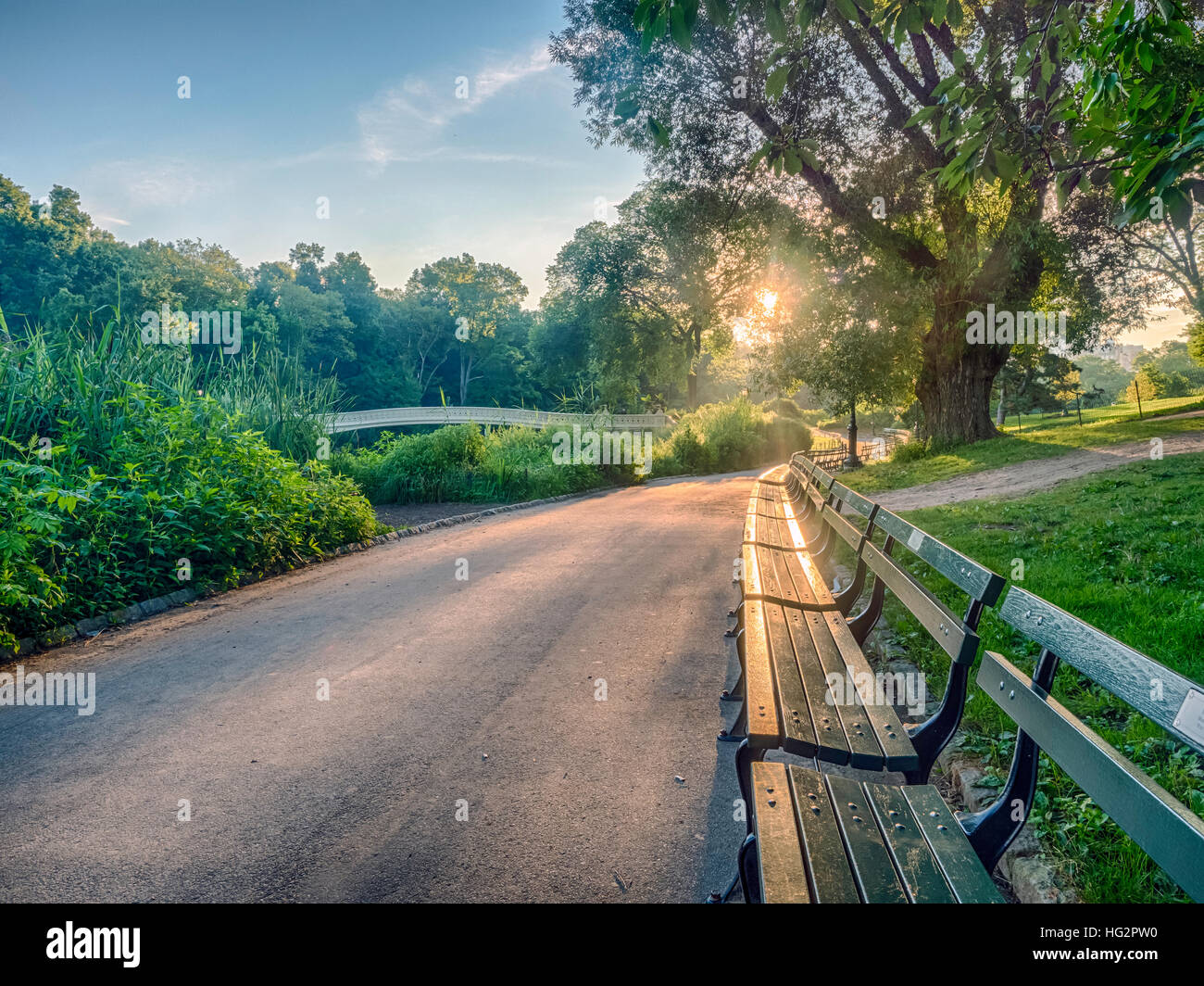 The Bow Bridge is a cast iron bridge located in Central Park, New York ...