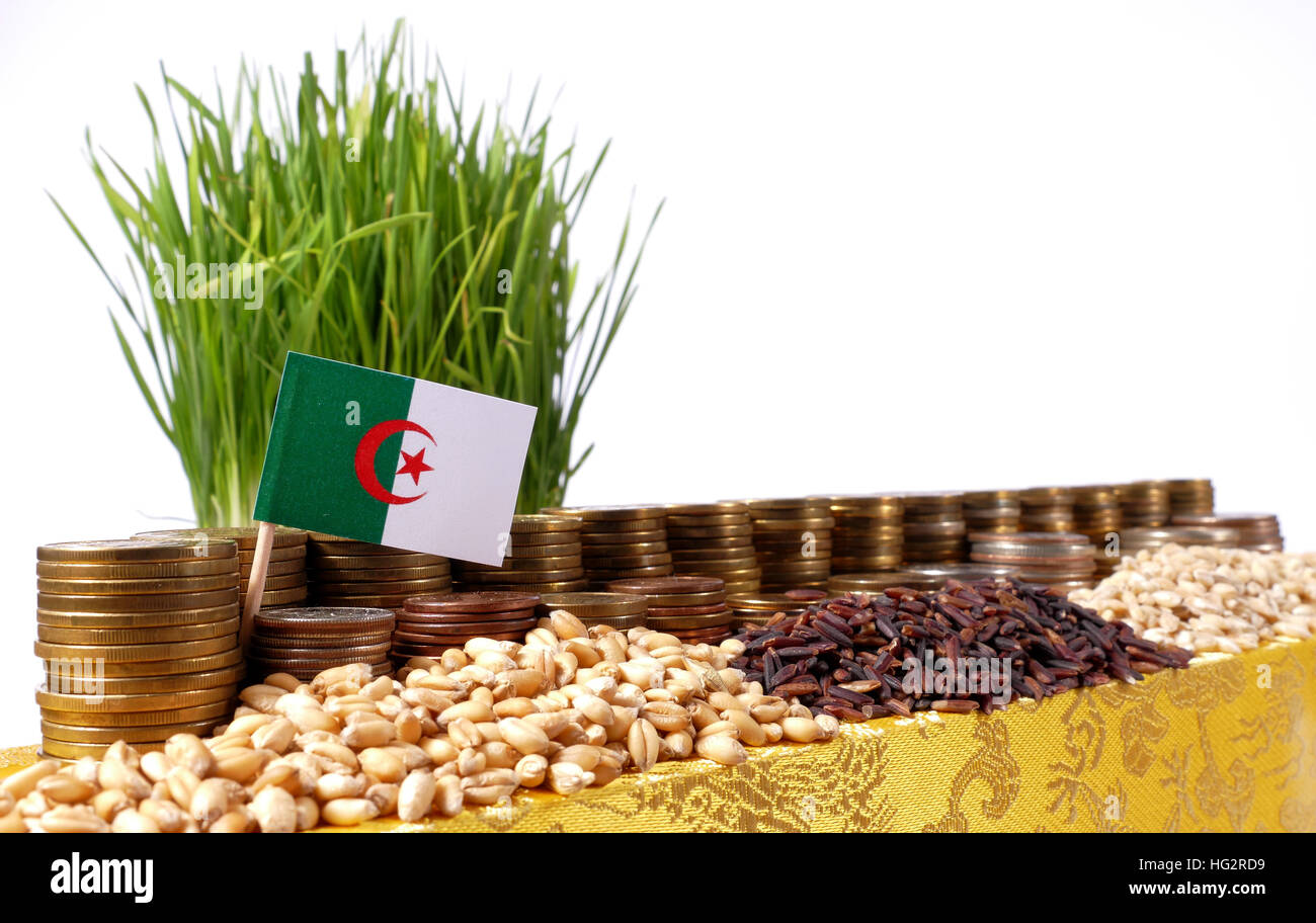 Algeria flag waving with stack of money coins and piles of wheat and rice seeds Stock Photo