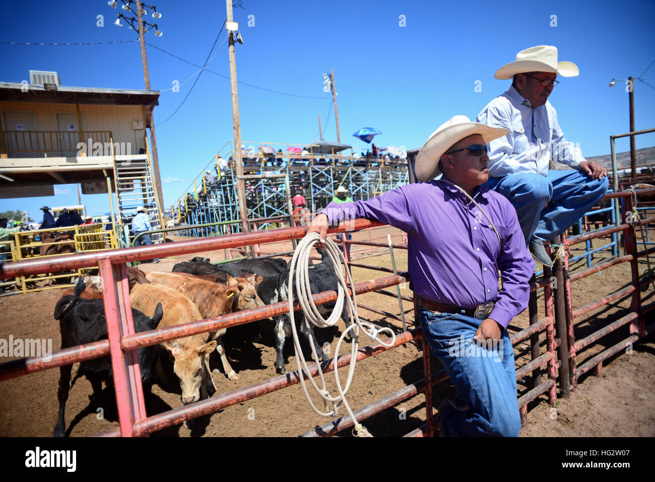 Rodeo competition during Navajo Nation Fair, a worldrenowned event