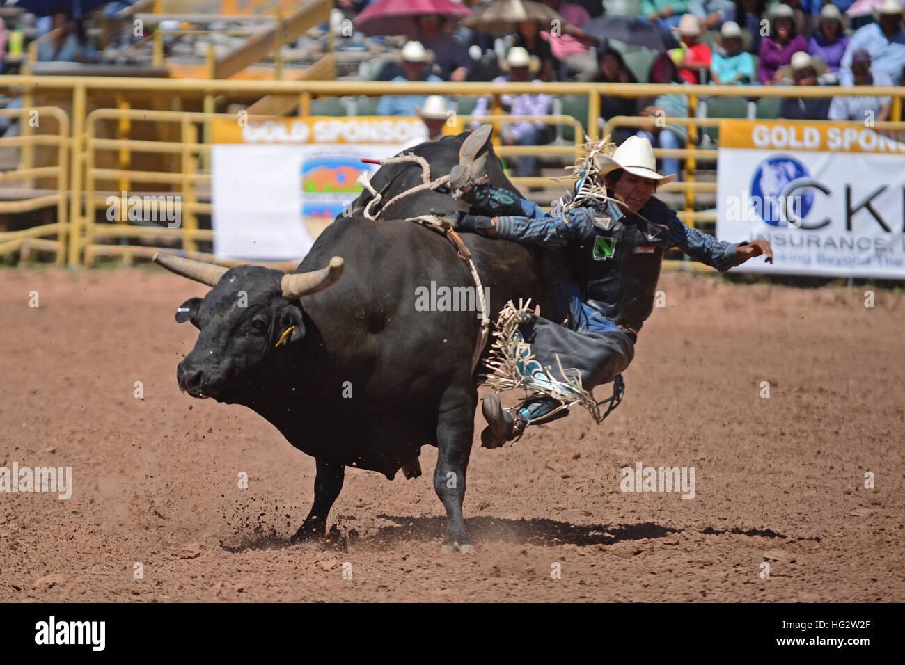 Rodeo competition during Navajo Nation Fair, a worldrenowned event