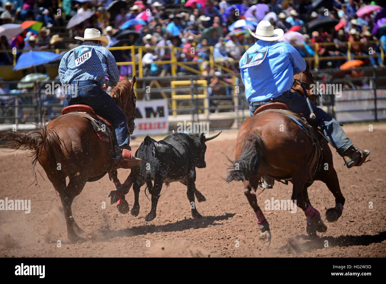 Native Rodeo Fair Rodeo capital of the world hi-res stock photography and images - Alamy