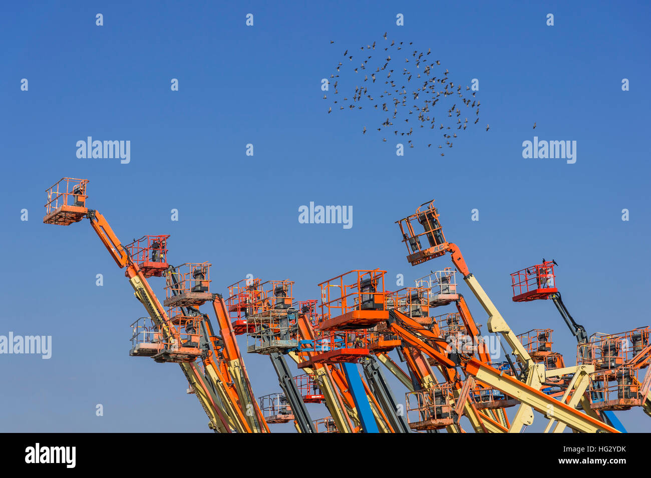 Many Articulated Boom Lifts Stock Photo