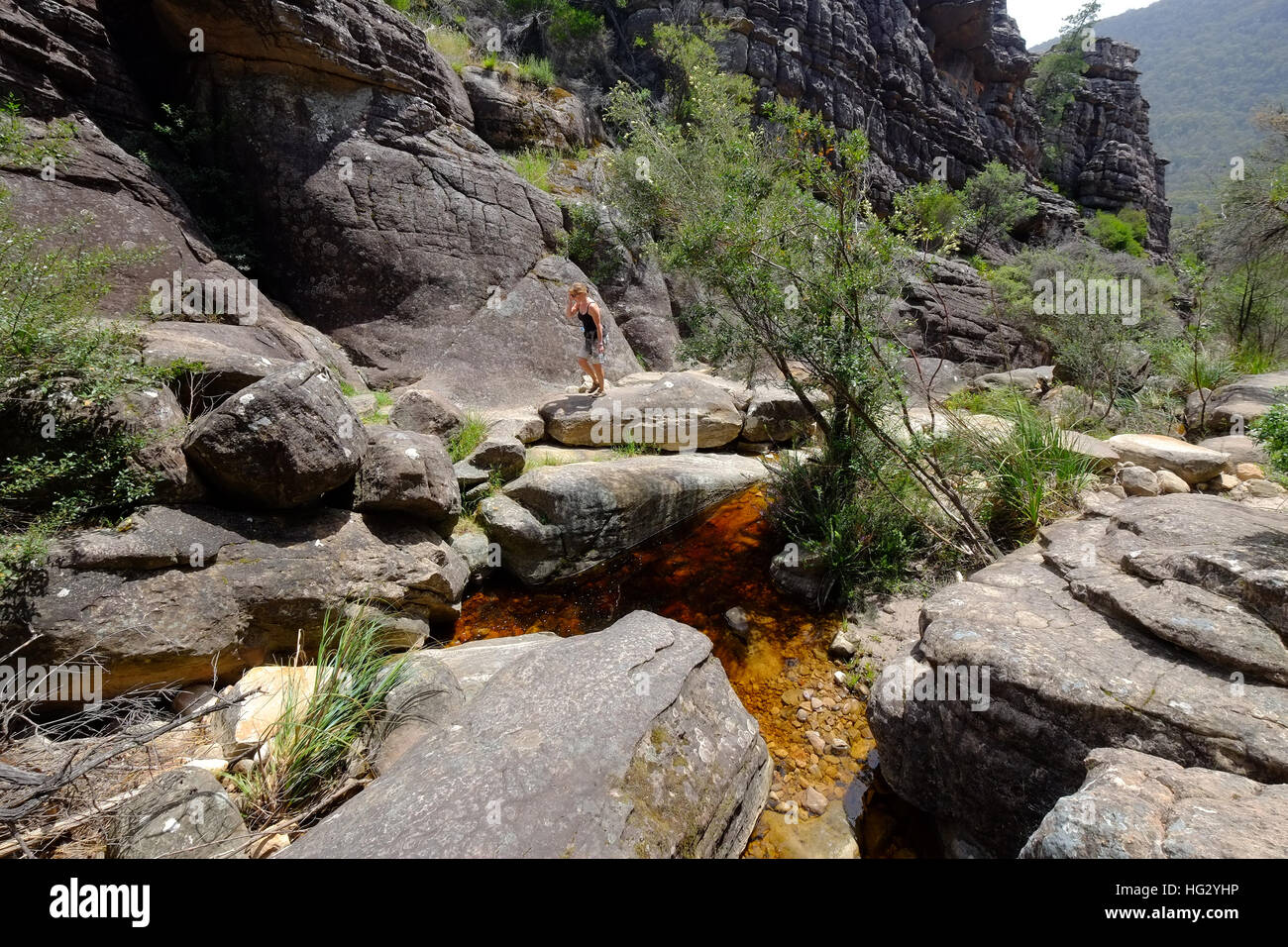 On a walking trail in the Grampians National Park, Victoria,Australia Stock Photo