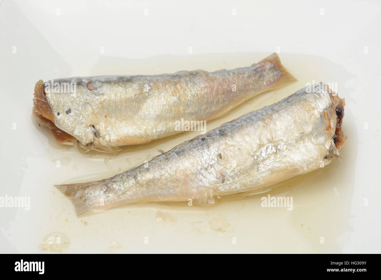 Canned sardines in vegetable oil Stock Photo Alamy