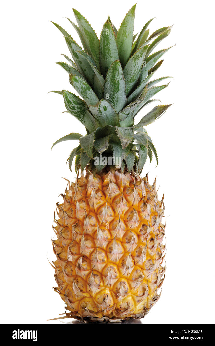 Pineapple (Ananas comosus Stock Photo - Alamy