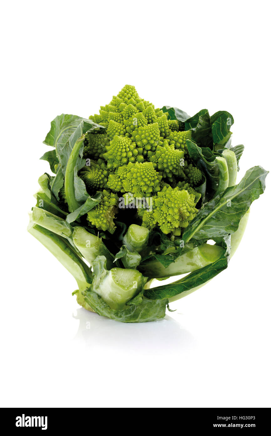Romanesco Cabbage (Brassica oleracea) Stock Photo