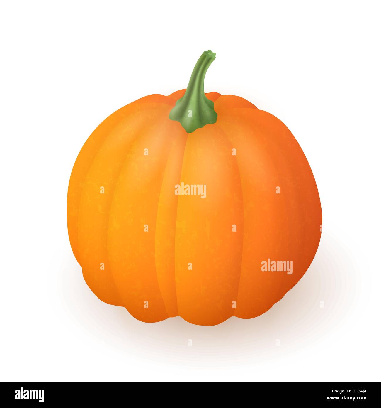 Realistic pumpkin isolated on white background. Bright orange vegetable. Vector illustration. EPS 10. Stock Vector