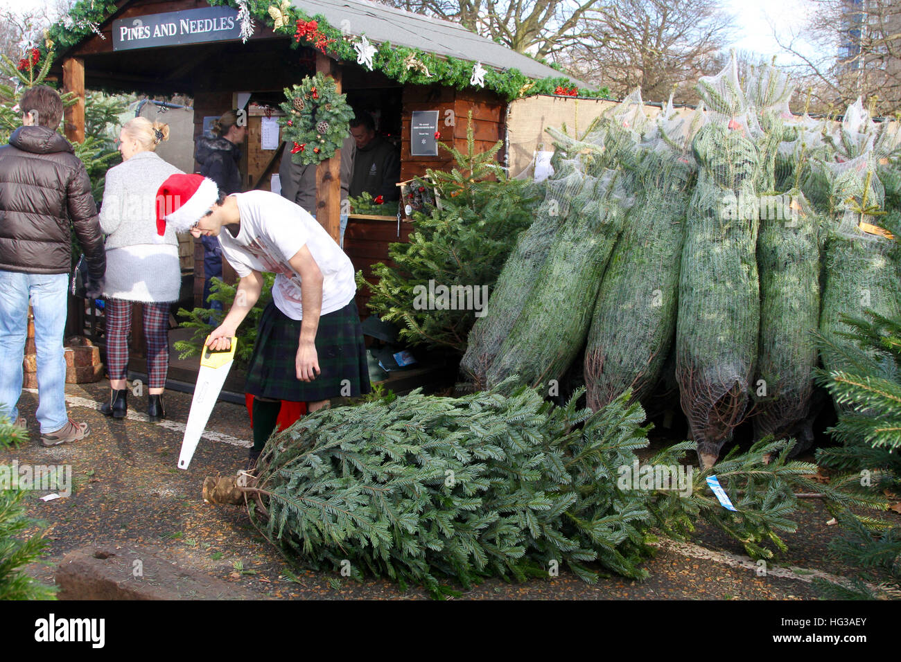 People buying Christmas Trees in Richmond Park in the run up to