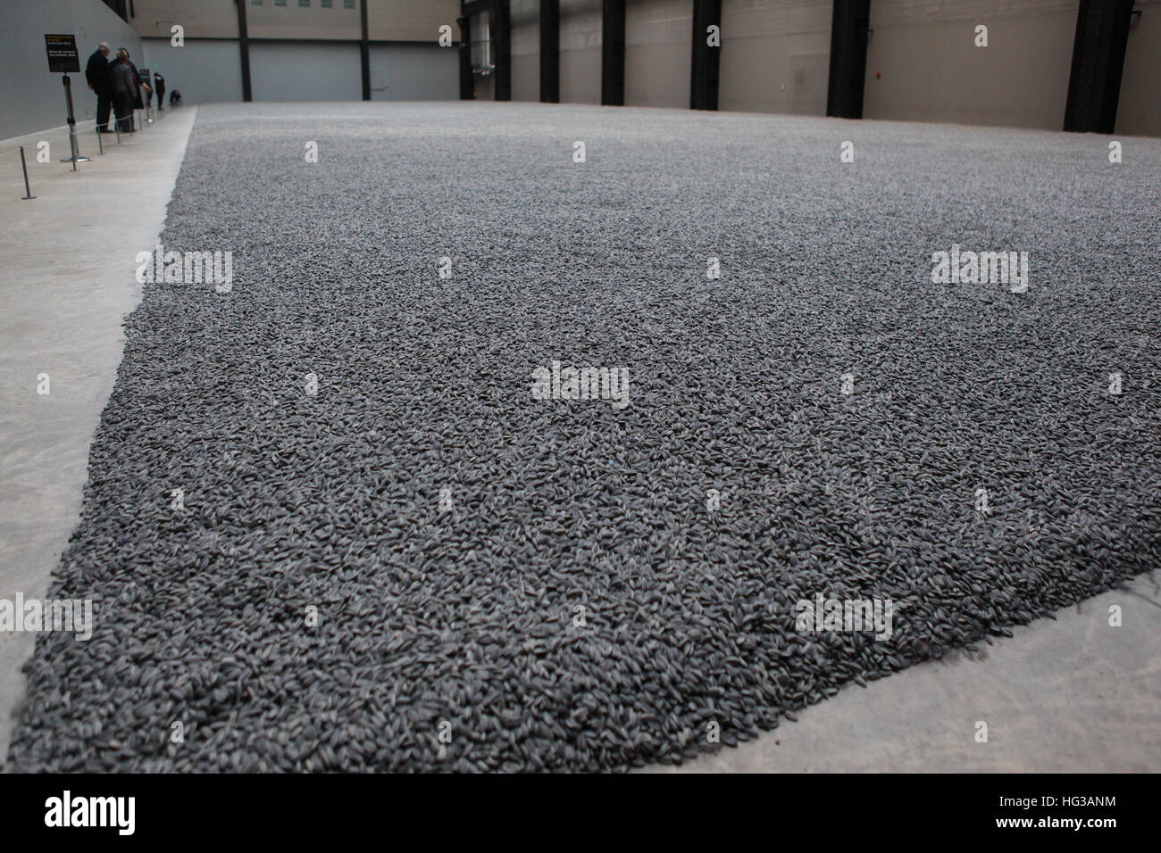 The Al Weiwei exhibiton of sunflower seeds, in the Turbine Hall of the Tate Modern. London. Stock Photo