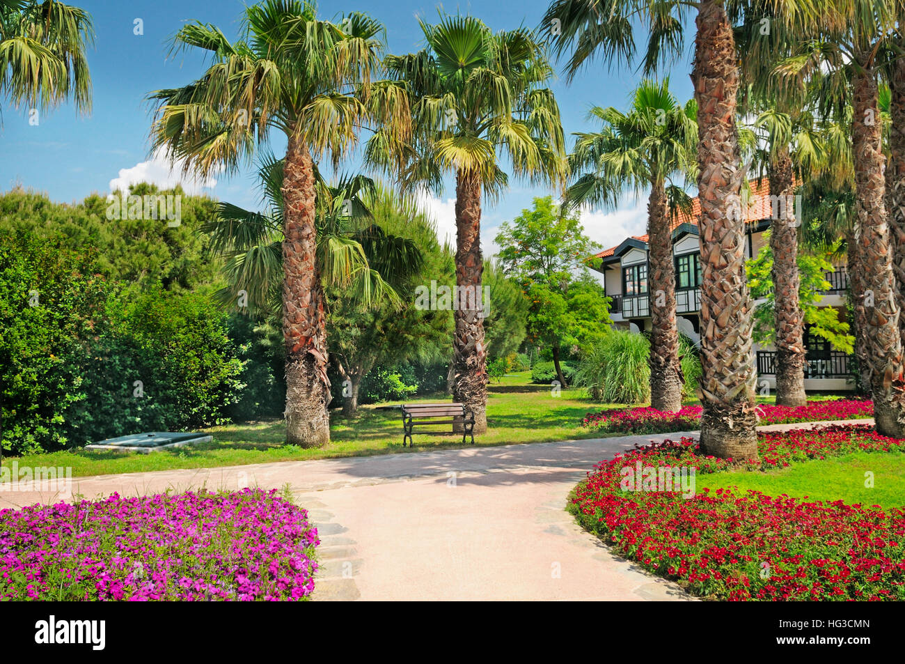 tropical palm trees and flower beds Stock Photo Alamy