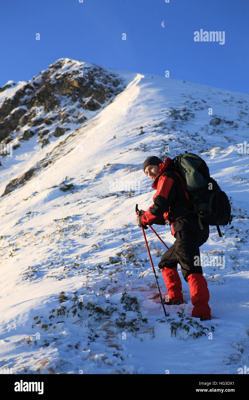 The climber climbs to the top of the mountain in the Carpathians Stock ...