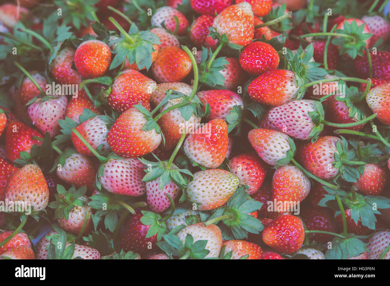 Fresh Strawberry Background Stock Photo - Alamy
