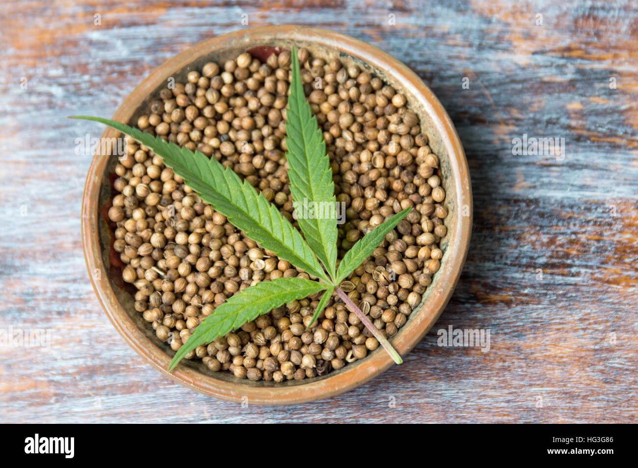 Marijuana plant and Cannabis seeds in a plate Stock Photo