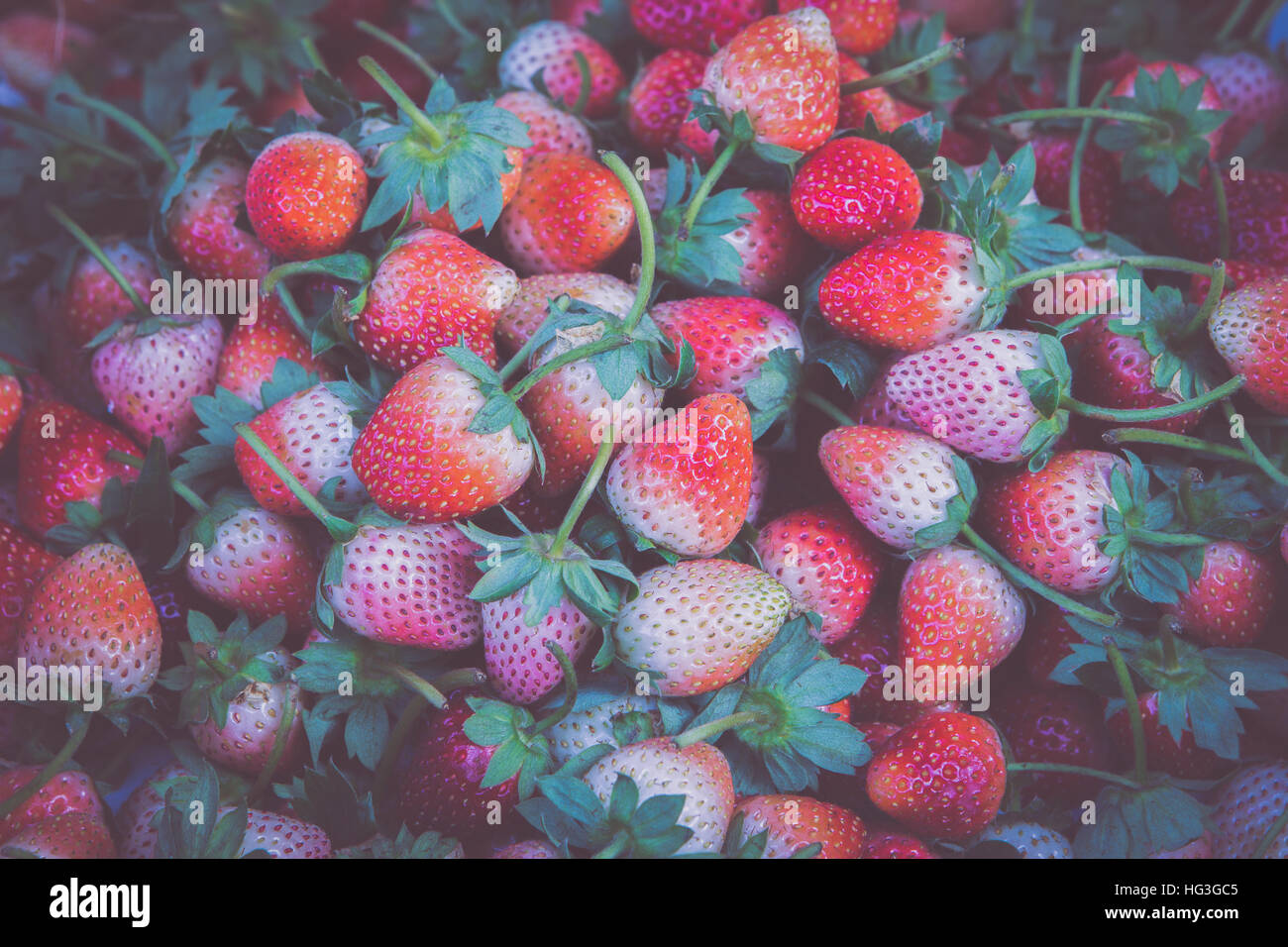 Fresh Strawberry Background Stock Photo