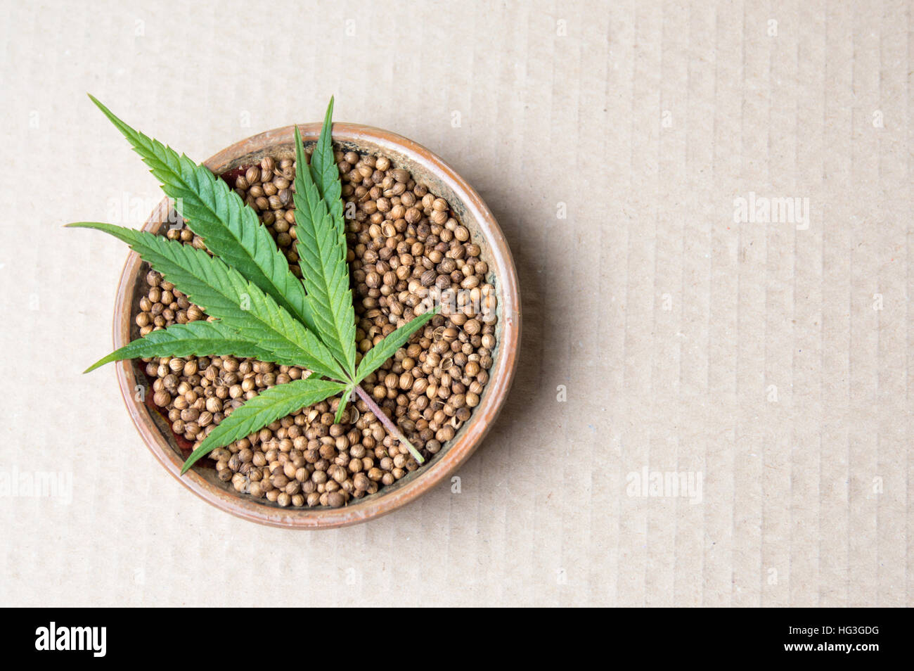 Marijuana plant and cannabis seeds on a plate Stock Photo