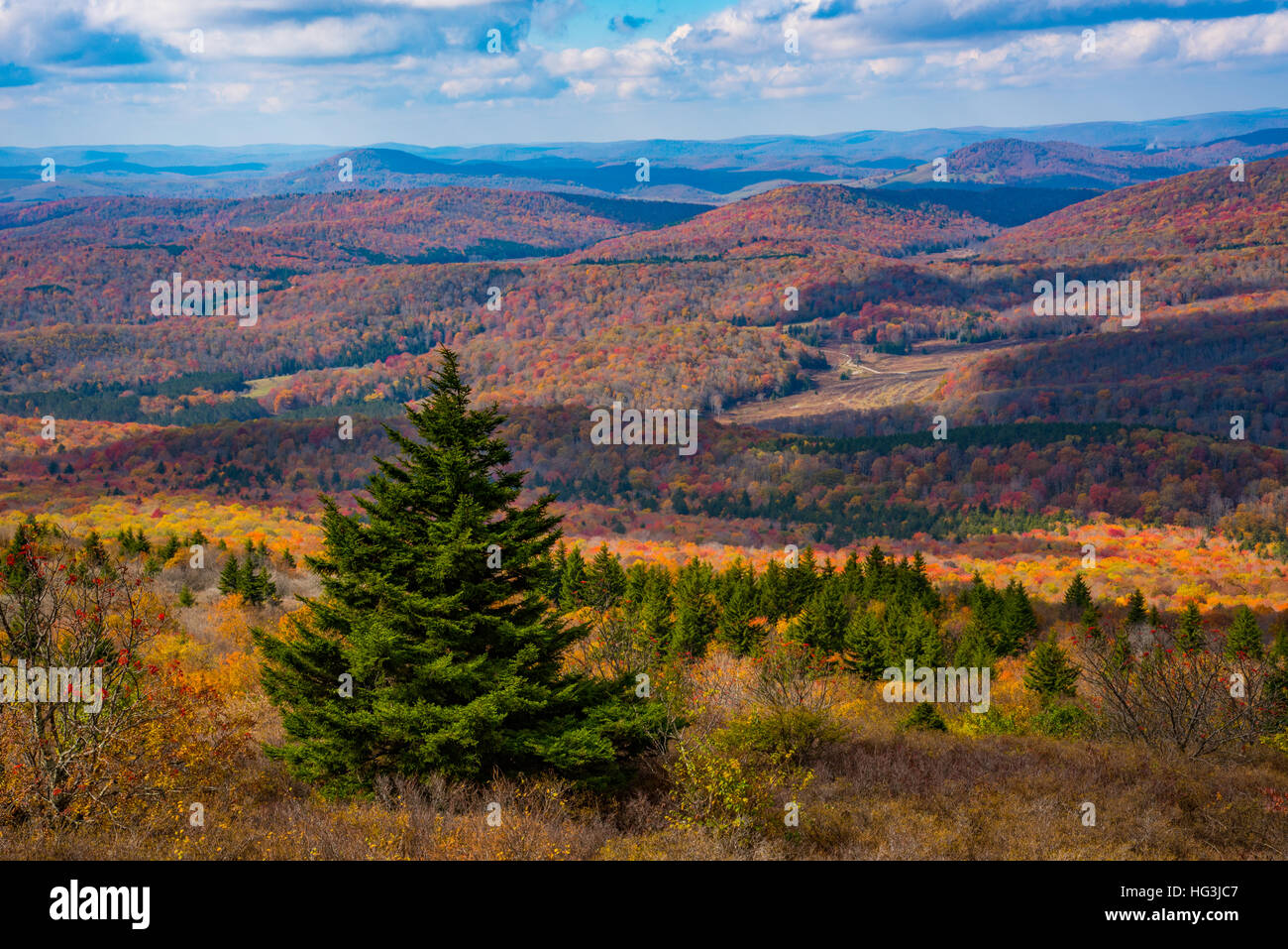 Overlook of the Monongahela National Forest from Spruce Knob, West