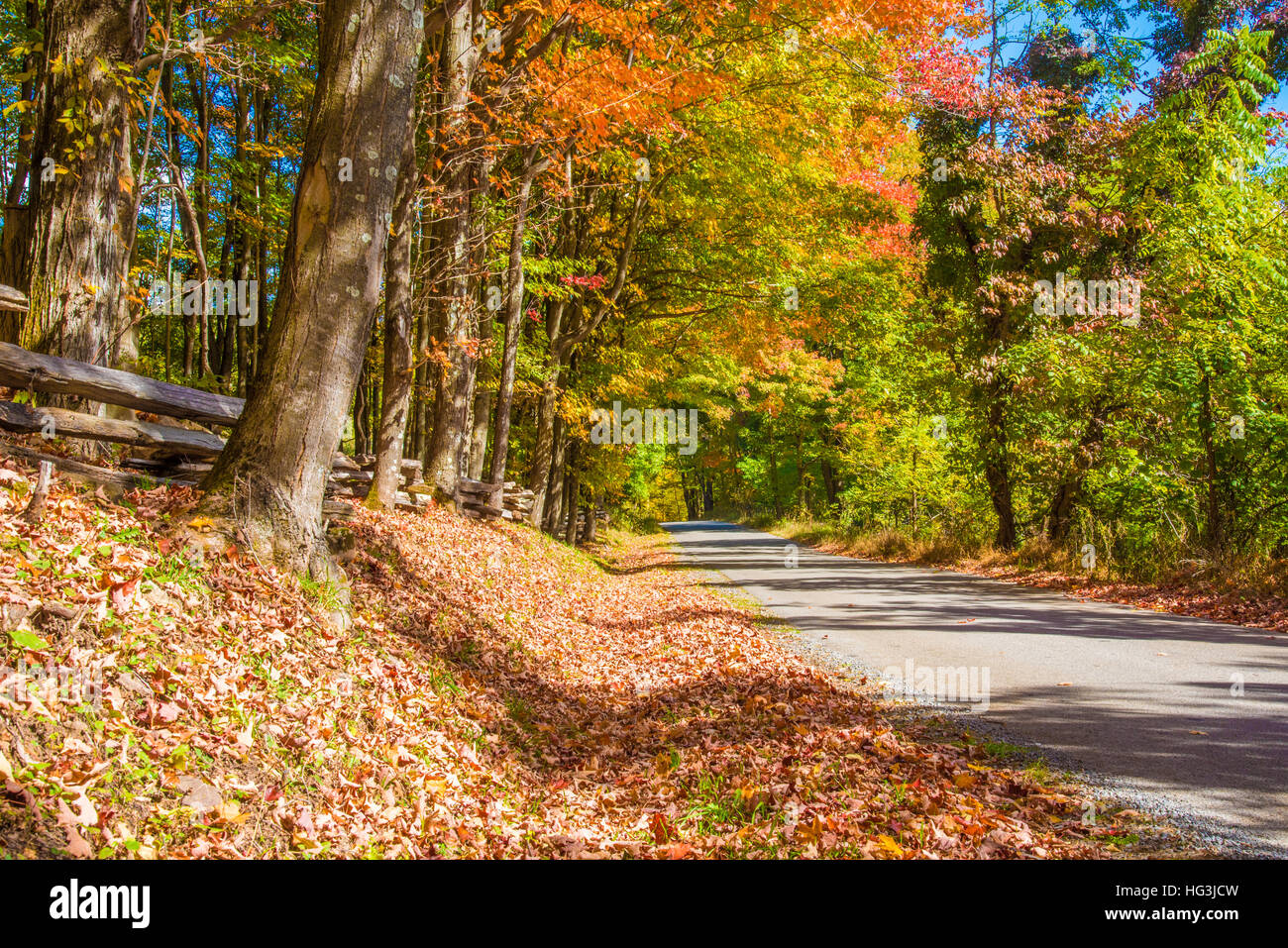 A rural road surrounded in colorful fall foliage Stock Photo - Alamy